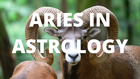 The Sign of Aries in Astrology