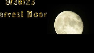 Harvest Moon 3 cams 9/30/23