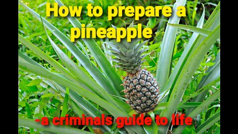 How to prepare a pineapple