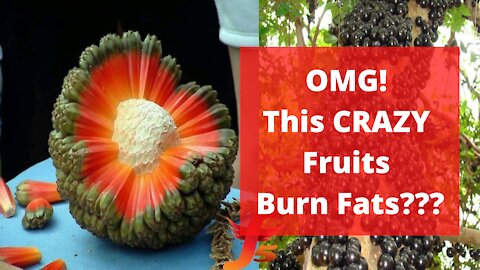 OMG! This CRAZY Fruits Burn Fats???