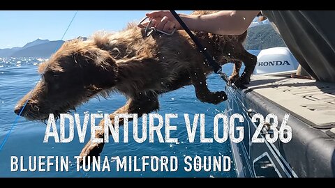 Bluefin Tuna and Fallow Deer meat harvesting New Zealand ADVENTURE VLOG 232 Josh James and Friends