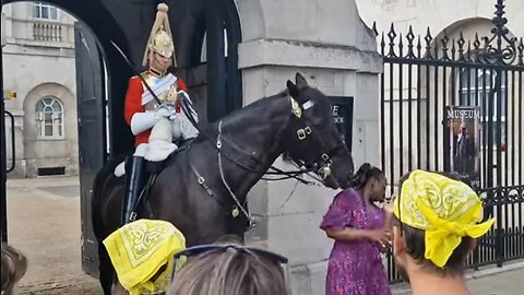 Tourist touching the reins. Horse bites tourist. tourist kisses the horse horse kisses back