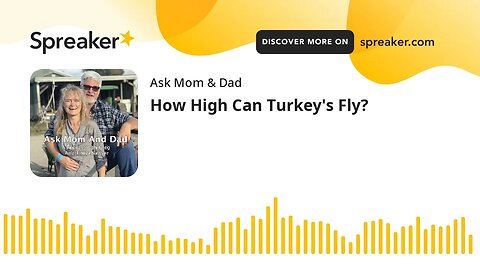 How High Can Turkey's Fly?