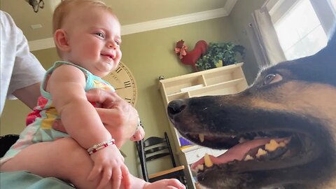Baby and German Shepard Make the Cutest Connection
