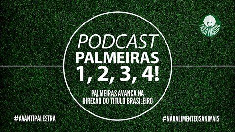 PALMEIRAS SEGUE O SEU CAMINHO NO CAMPEONATO BRASILEIRO! #PALMEIRAS
