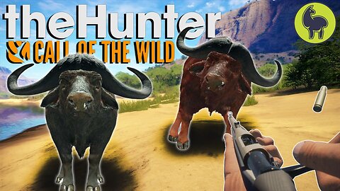 Long Range Resolutions, Hunt Club Beta | theHunter: Call of the Wild (PS5 4K 60FPS)