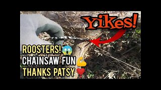 Crazy Roosters, Chainsaw Fun, Thanks Patsy! - Ann's Tiny Life