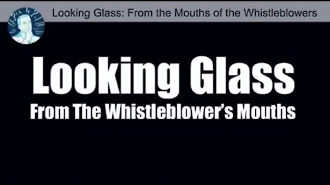 Project Looking Glass: From the Whistleblowers' Mouths