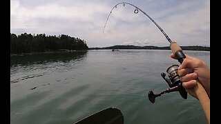 Epic Kayak Catch in Maine!!