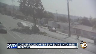Driver killed in El Cajon after slamming into tree