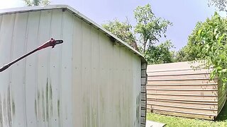 Removing a Hornet nest