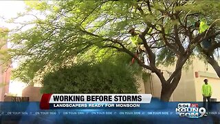 Local landscapers brace for monsoon storms, damage