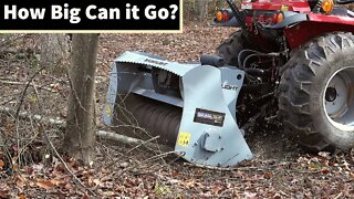 How to Clear Land with a Tractor Forestry Mulcher & Chainsaw
