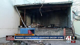 Rodents, looters, squatters plague abandoned grocery store