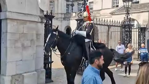 Horse out of the box won't t settle down #horseguardsparade