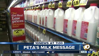 PETA says milk = white supremacy?