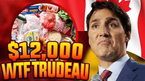 Someone FINALLY Asks About Trudeau's $12,000 Grocery Bill