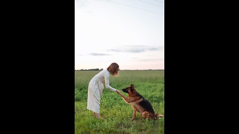 NEW! Positive Dog Training Instructional video