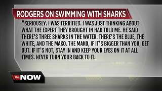 Today's Take: Swimming with the Sharks