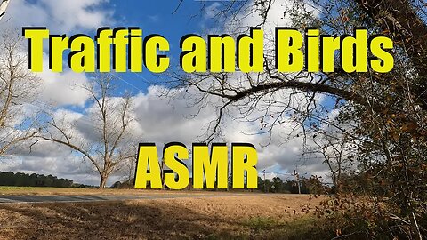 White Noise Traffic and Birds on Hwy 122 at MM10 #asmr