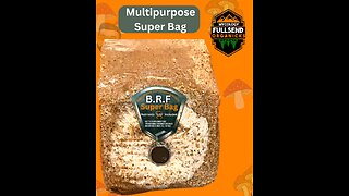 BRF Multipurpose Mushroom Grow bag