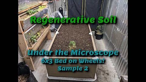 6x3 Soil Bed on Wheels, Sample 2 / Regenerative Soil under the MICROSCOPE!