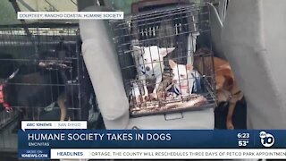 Humane Society takes in dogs