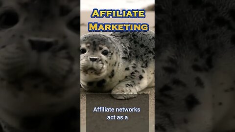 Affiliate Marketing Facts #makemoneyonline #affiliatemarketing #digitamarketing