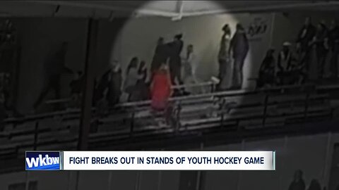 Fight breaks out in stands of youth hockey game, NY division of USA Hockey investigating