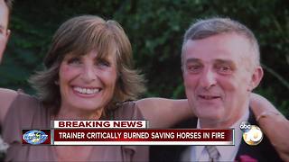 Trainer critically burned trying to save horses