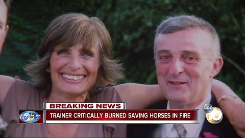 Trainer critically burned trying to save horses