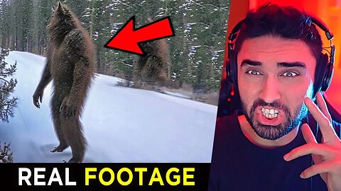 Shocking Trail Cam Footage No One Expected 👁 (Caught on Camera)