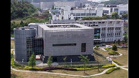 Pfizer and the Wuhan Institute of Virology