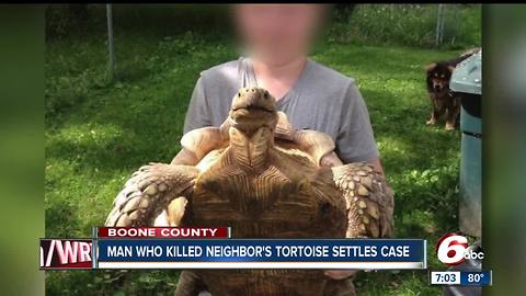 Man accused of killing pet tortoise settles for $1,400