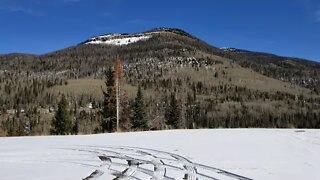 Miles of Dead Trees, Scientists Agree Crops Won't Grow Outside in 10 Years, On Scene