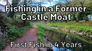 Fishing in a former castle moat: My first fish in years