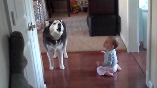 Husky And Baby Speak The Same Language (LOL!)