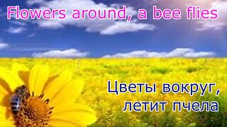 Flowers around, a bee flies#Цветы вокруг,летит пчела