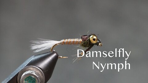 Damselfly Nymph (Fling & Puterbaugh 30/30)