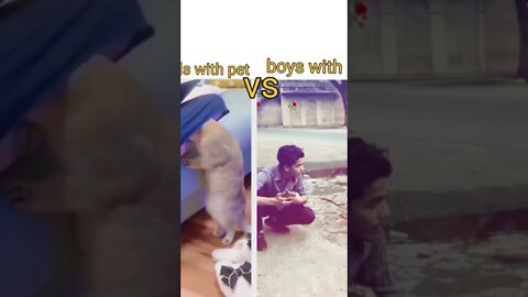 girls with pet vs boys with pet🤣🤣♥️