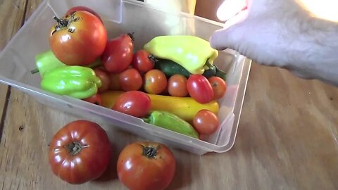 Late Garden Harvest & Happy Homestead Cleaning Day