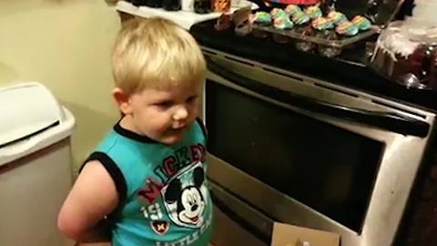 Funny Tot Boy Blames His Dad For The Missing Cupcakes