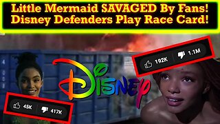Real Fans DESTROY The Little Mermaid On Social Media! Defenders Predictably Play The Race Card!
