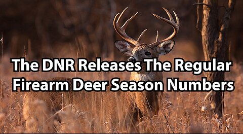 The DNR Releases The Regular Firearm Deer Season Numbers