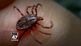 Lyme Disease spreading in Michigan