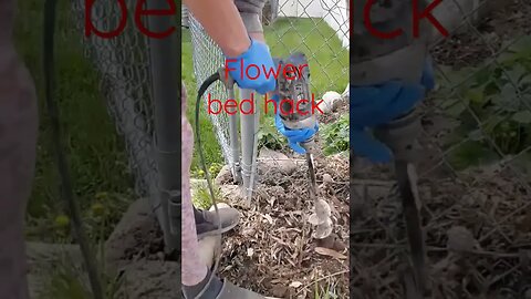 flower bed hack #shortsvideo #social media #gardening #flowers #peas