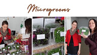 Which is better microgreens or sprouts?