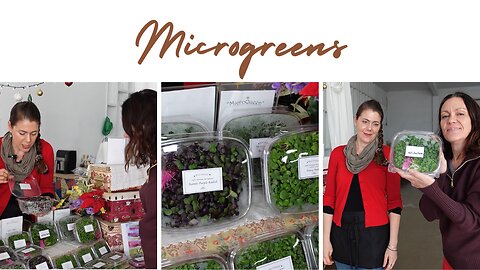 Which is better microgreens or sprouts?
