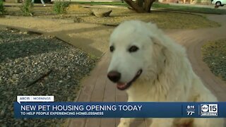 New pet hotel open in Scottsdale for people battling homelessness