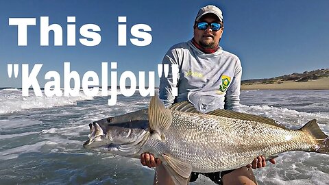 AUSTRALIAN MULLOWAY is what we CALL KOB IN SOUTH AFRICA and they ARE BIG!!! Fishing for the FUTURE!